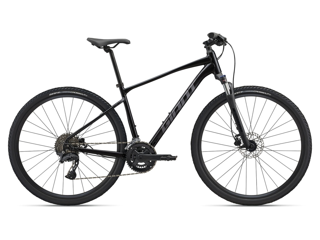 Giant Roam 2 