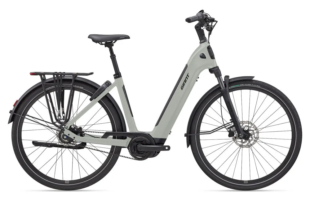 Giant NewTour E+ 1 LST (S, Desert sage)