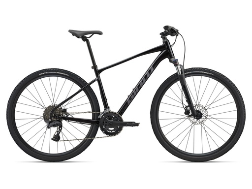 Giant Roam 2 